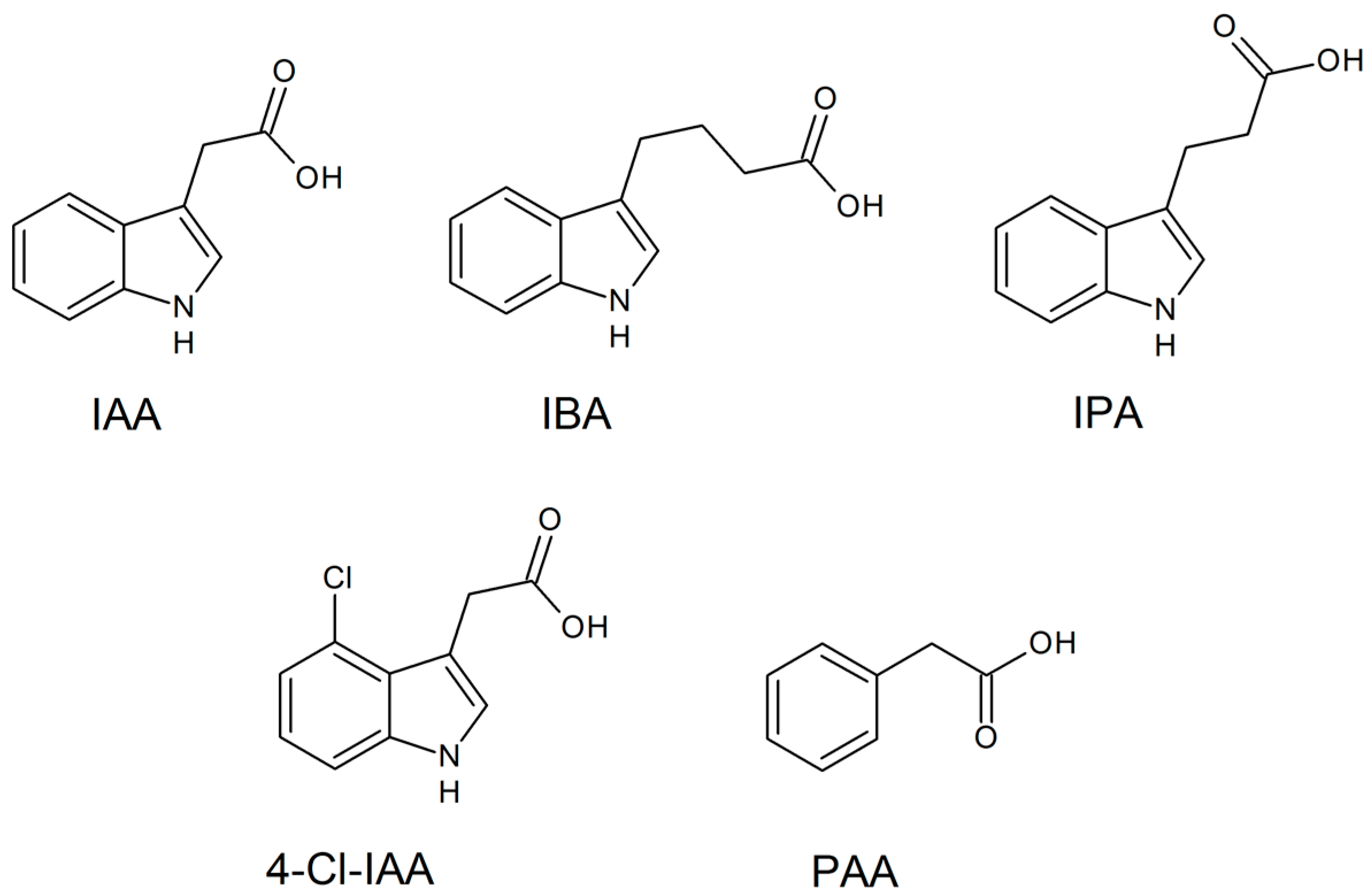Sustainability 16 01076 g004 Sustainability 16 01076 g004