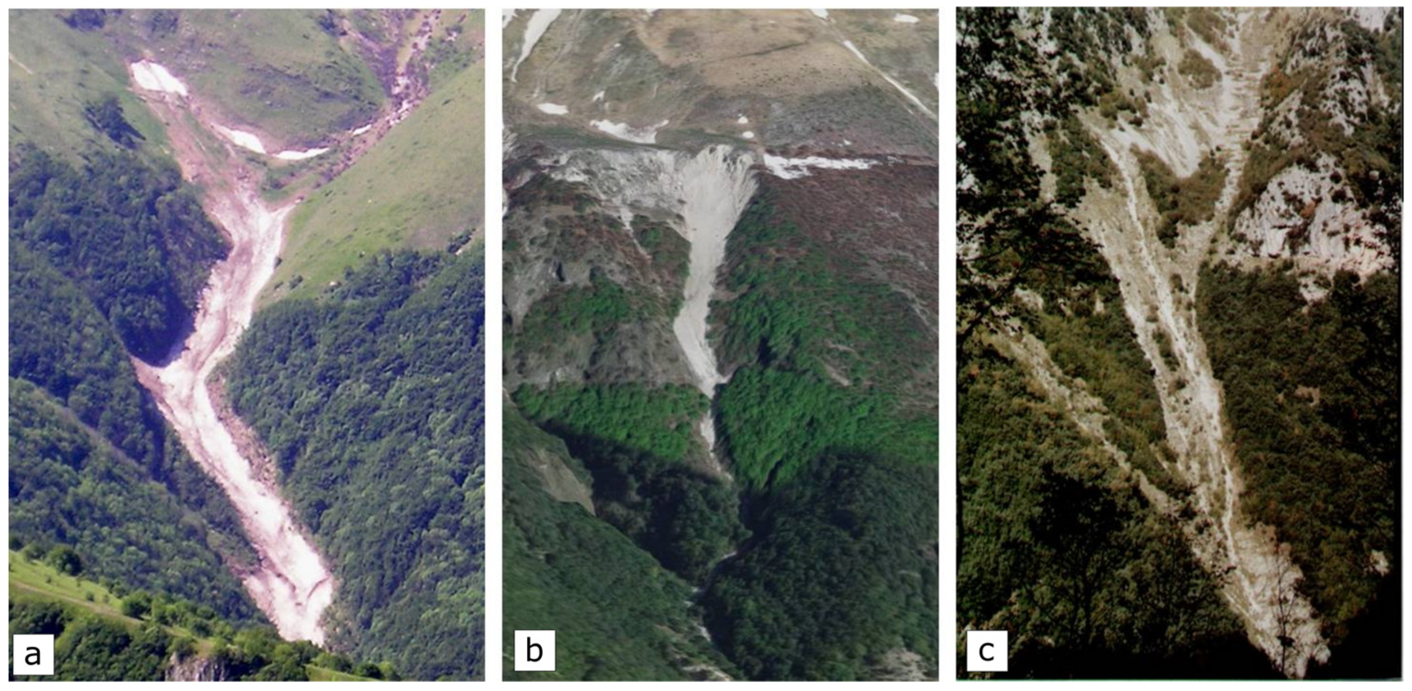 Sustainability 16 01100 g005
