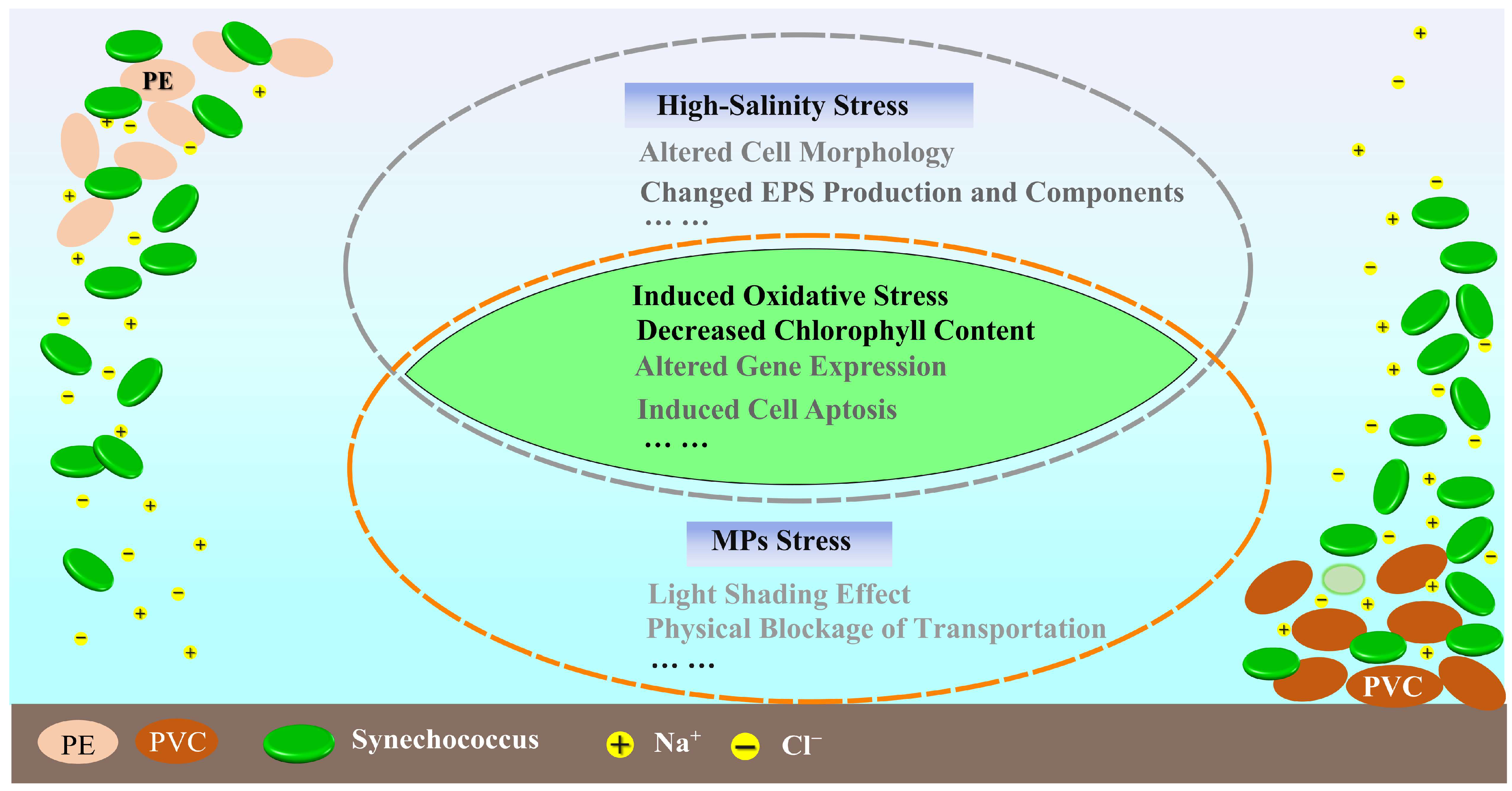 Sustainability 16 01107 g008