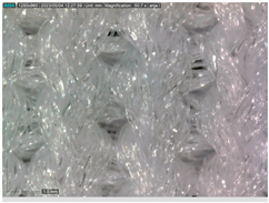 Sustainability 16 01121 i004