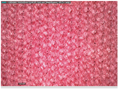 Sustainability 16 01121 i008