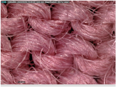 Sustainability 16 01121 i034