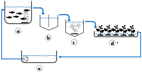 Sustainability 16 01130 g001