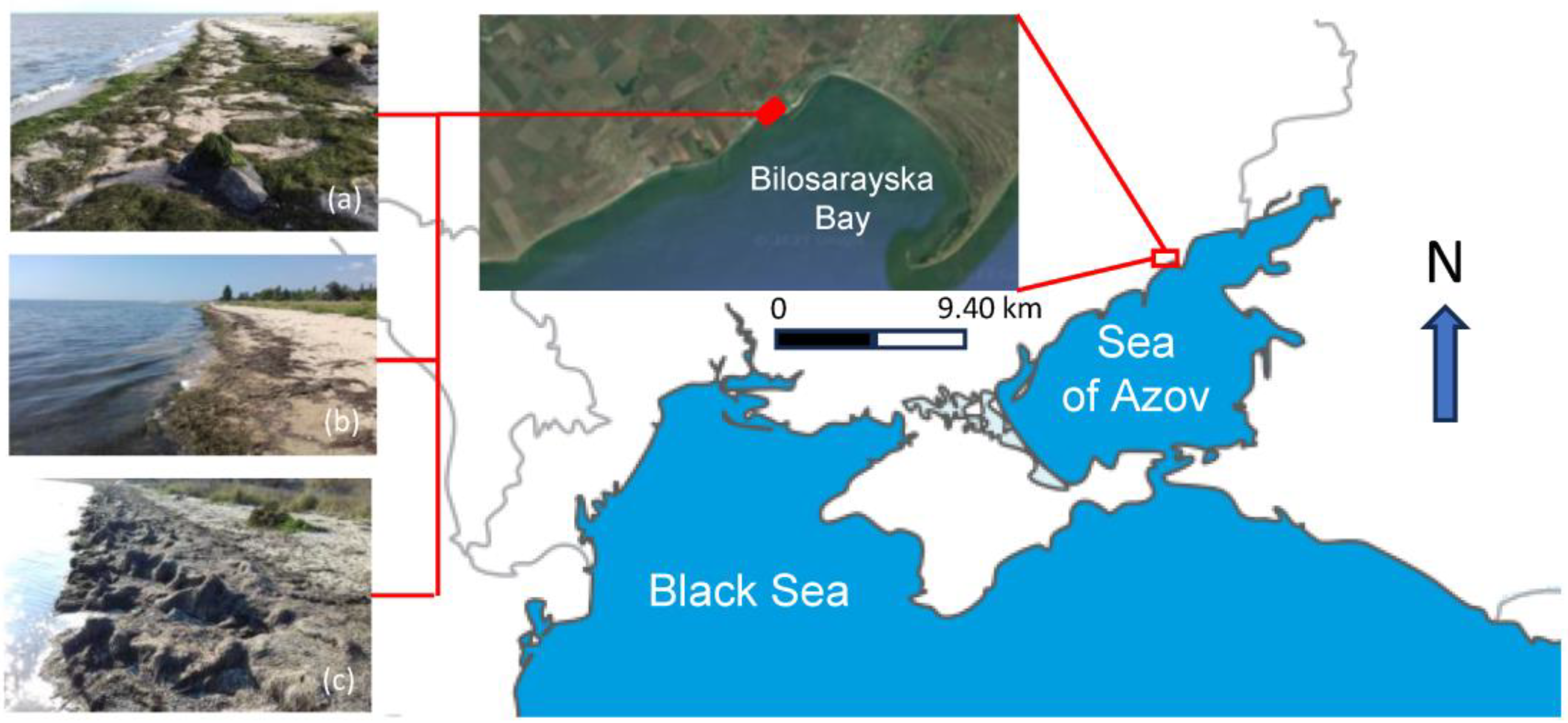 Sustainability 16 01134 g001