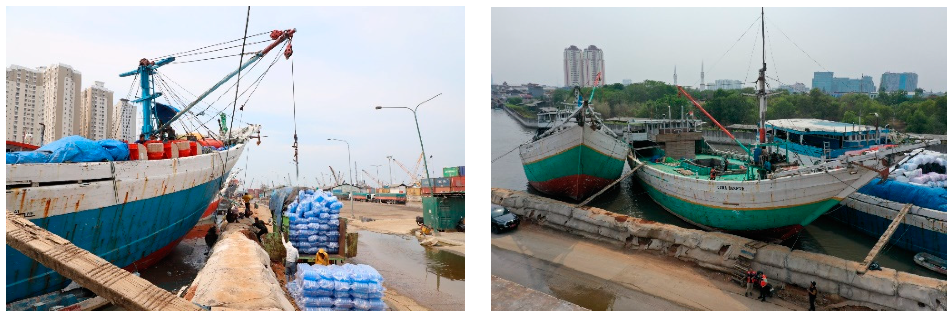 Sustainability 16 01152 g001