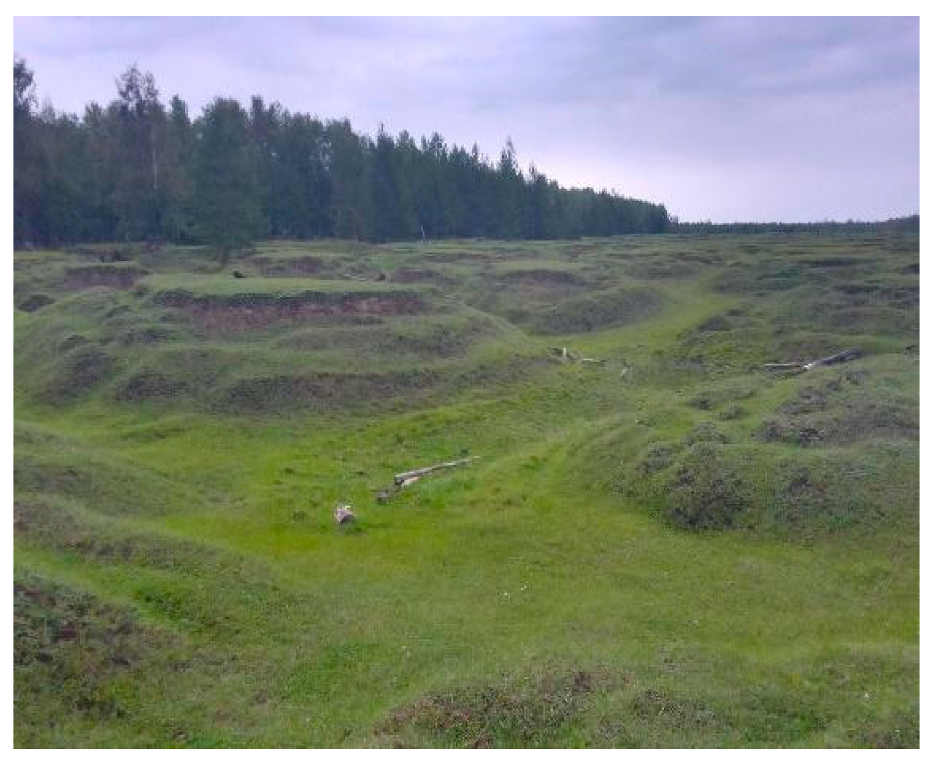 Sustainability 16 01157 g004 Sustainability 16 01157 g004