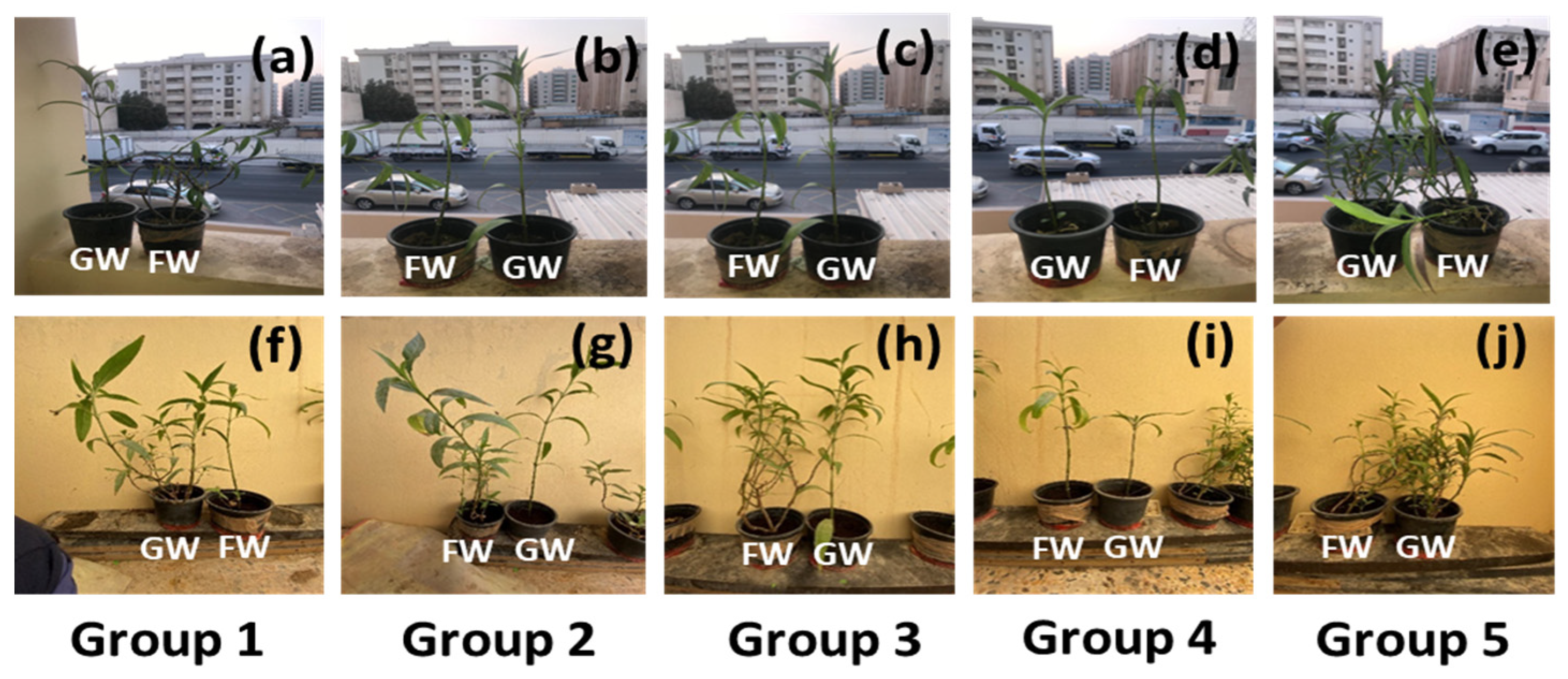 Sustainability 16 01183 g001