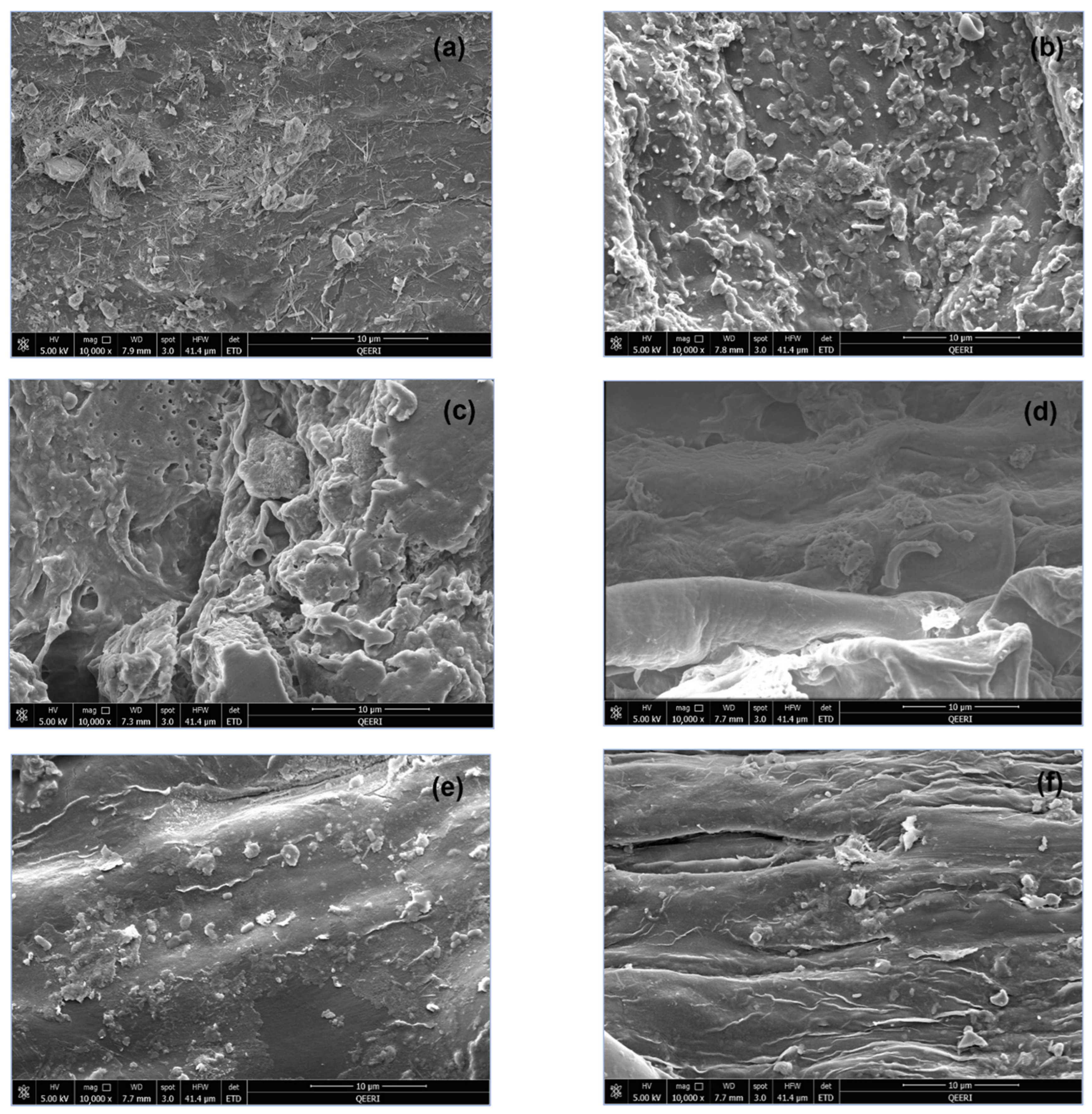 Sustainability 16 01183 g004