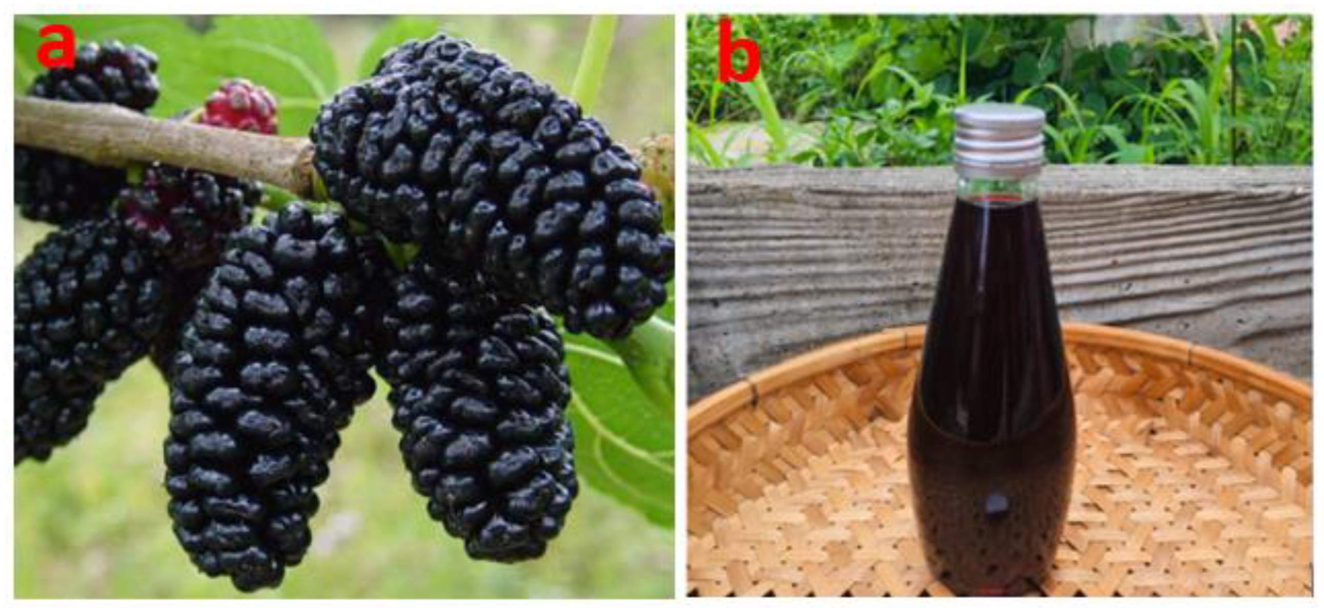 Sustainability 16 01185 g001