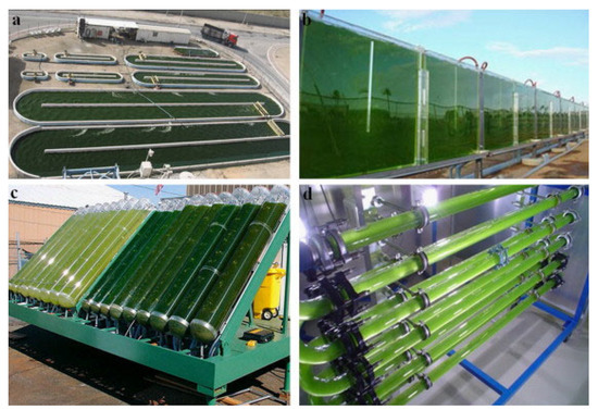 Sustainability 16 01201 g005