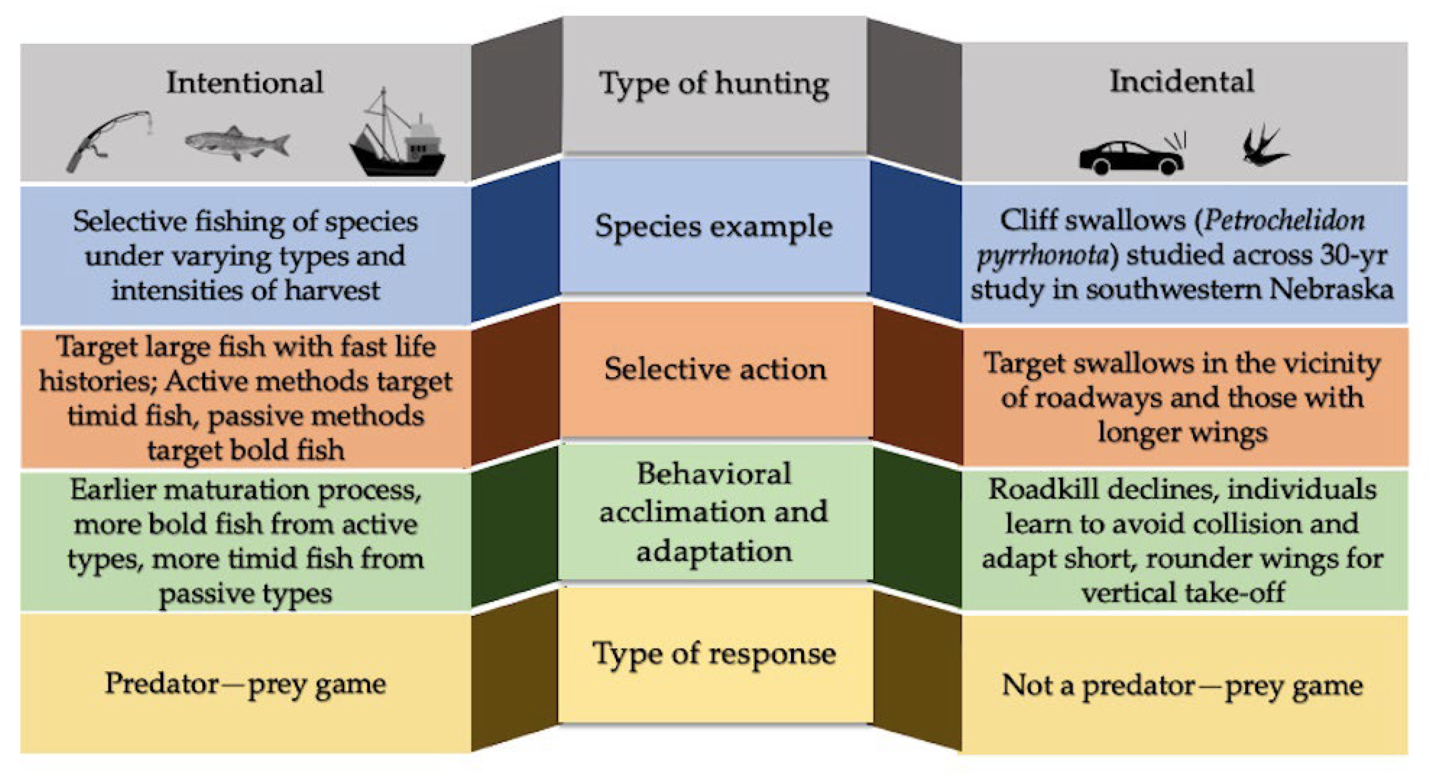 Sustainability 16 01216 g002