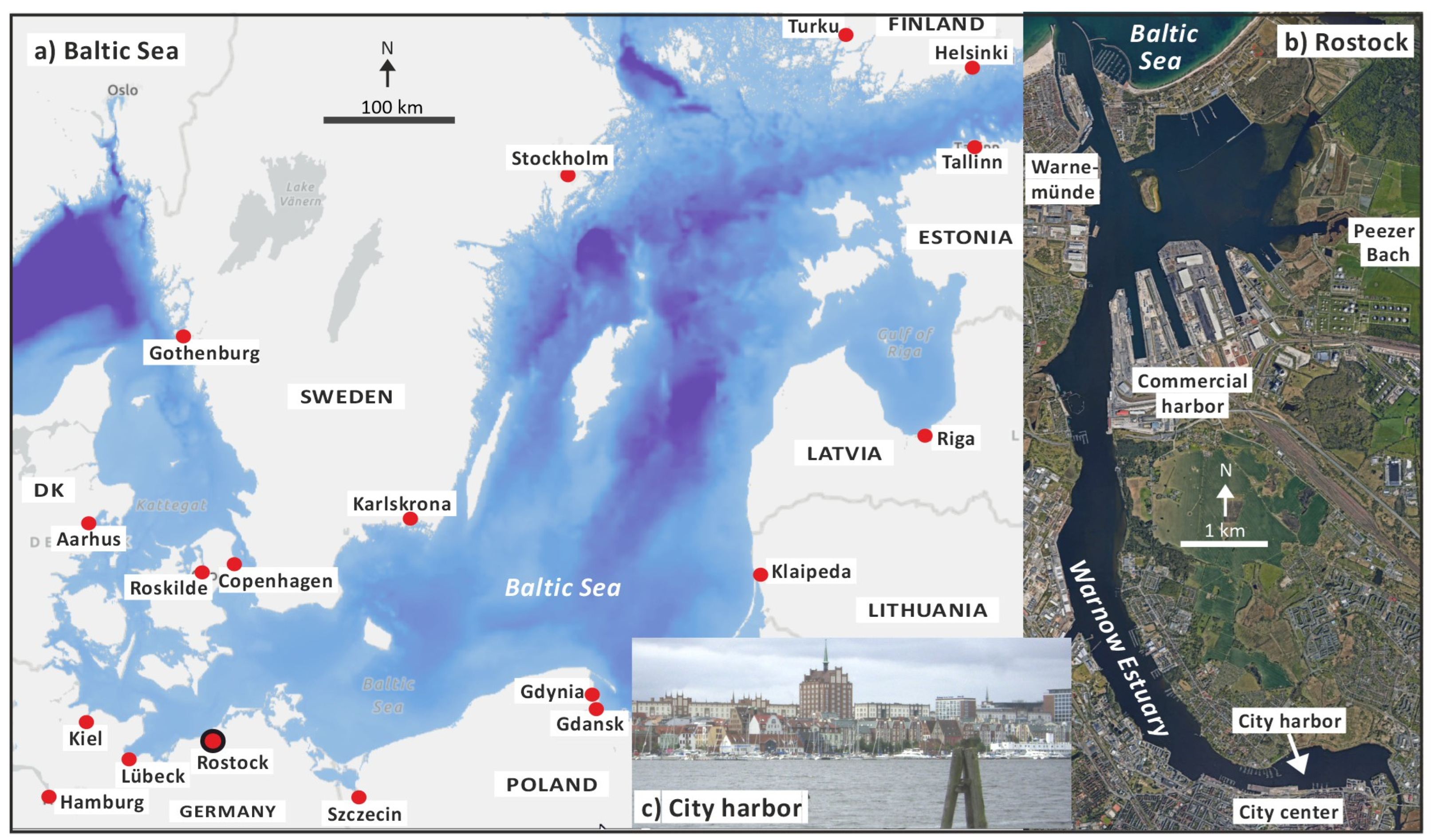 Sustainability 16 01220 g001