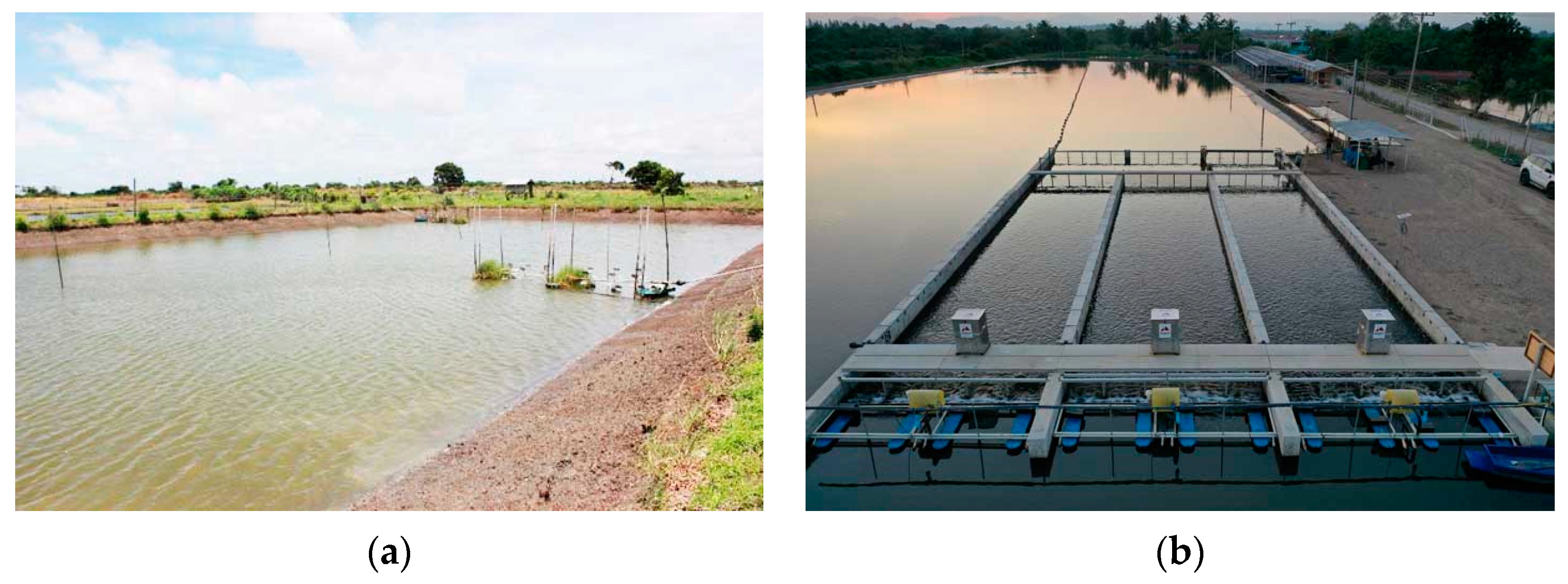 Sustainability 16 01237 g003