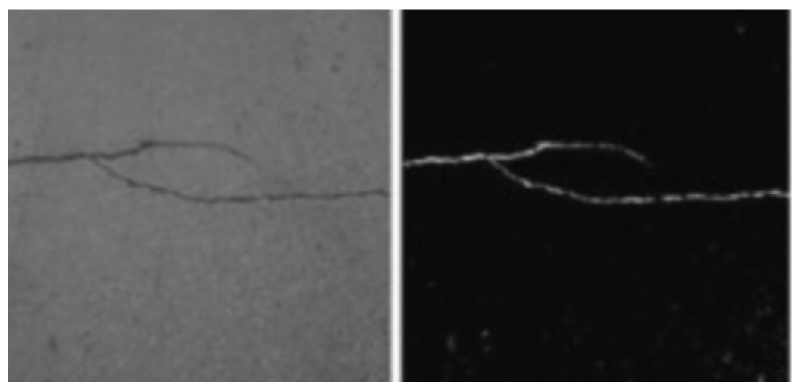 Sustainability 16 01257 g003
