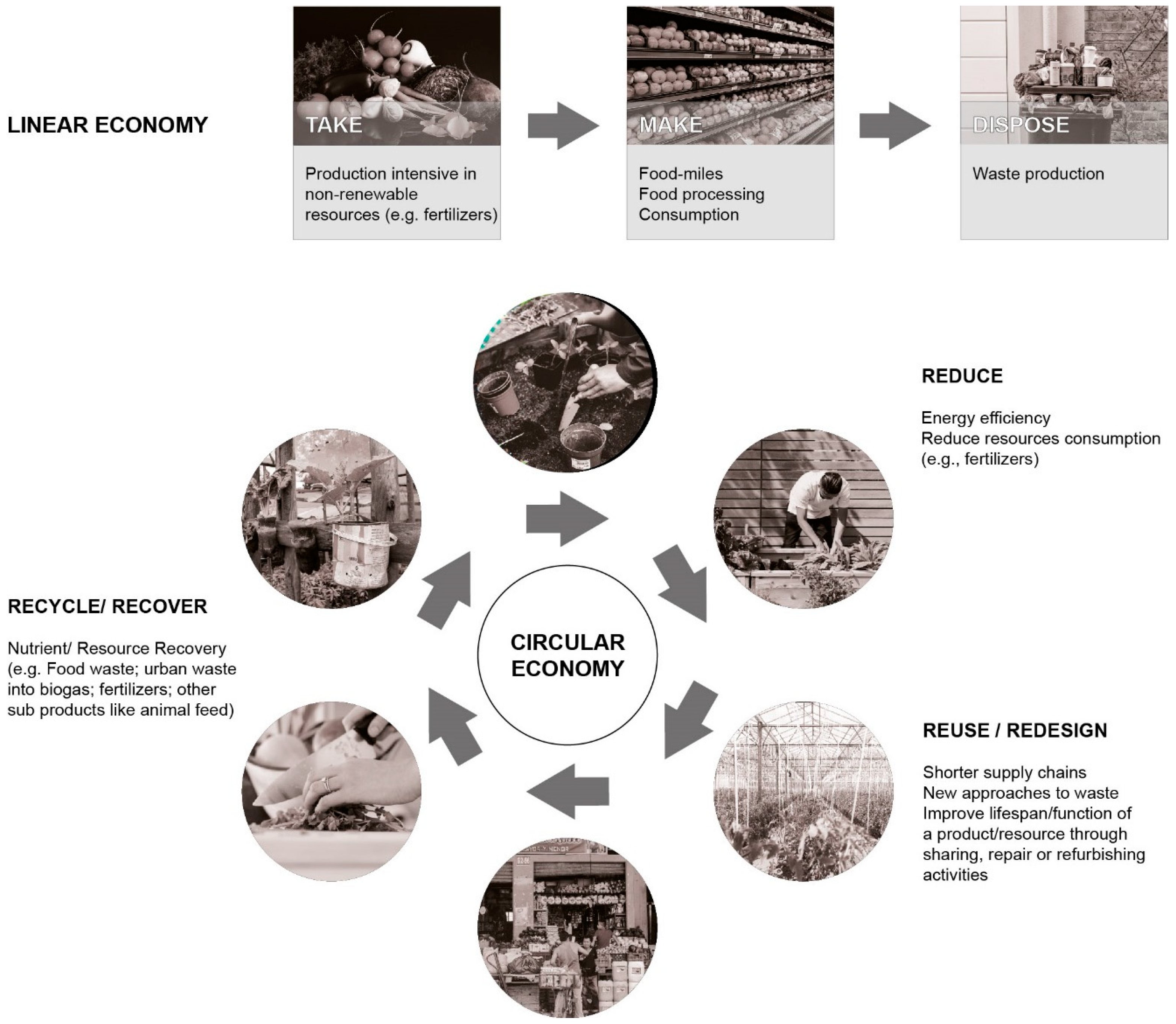 Sustainability 16 01258 g001 Sustainability 16 01258 g001