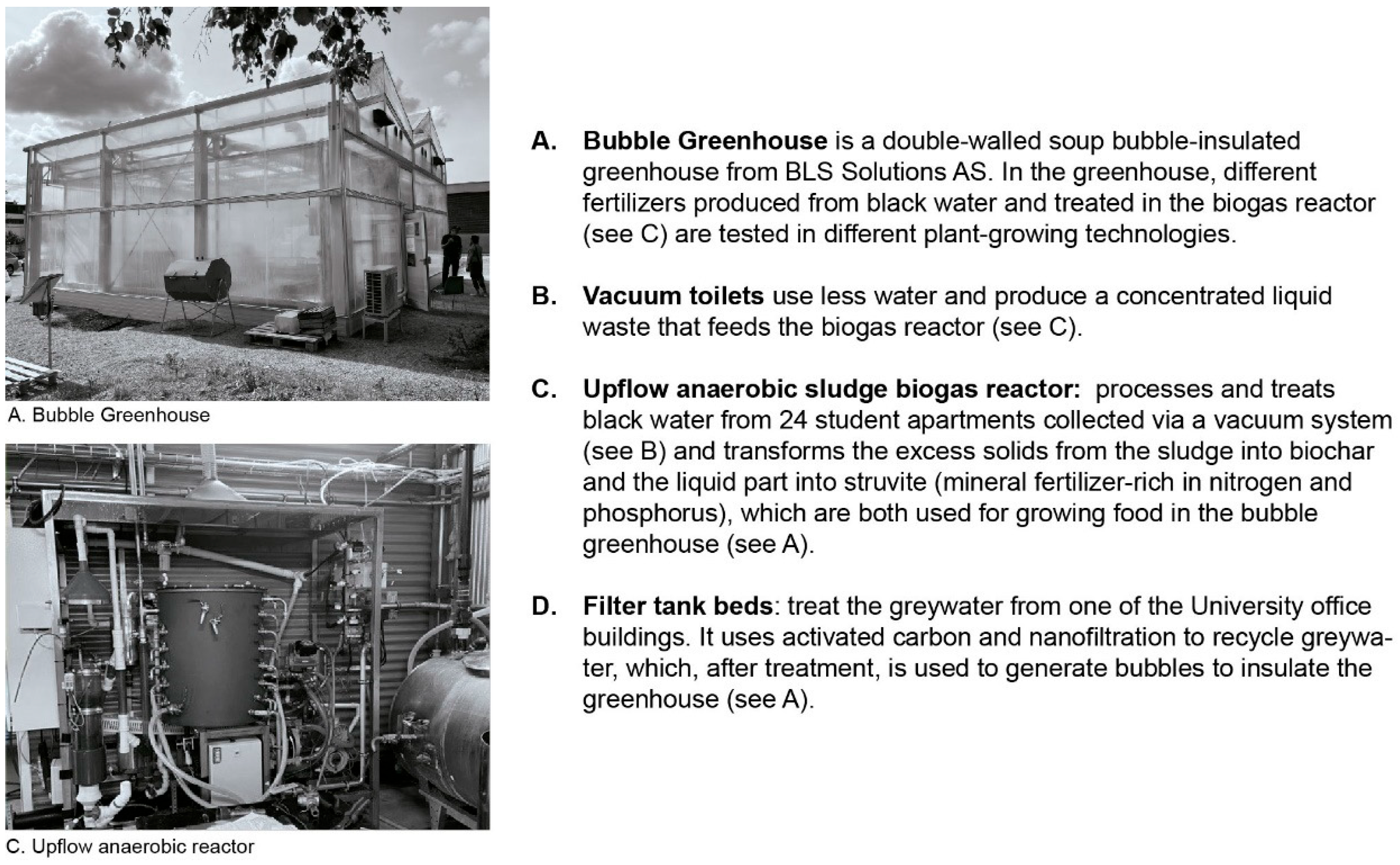 Sustainability 16 01258 g003 Sustainability 16 01258 g003