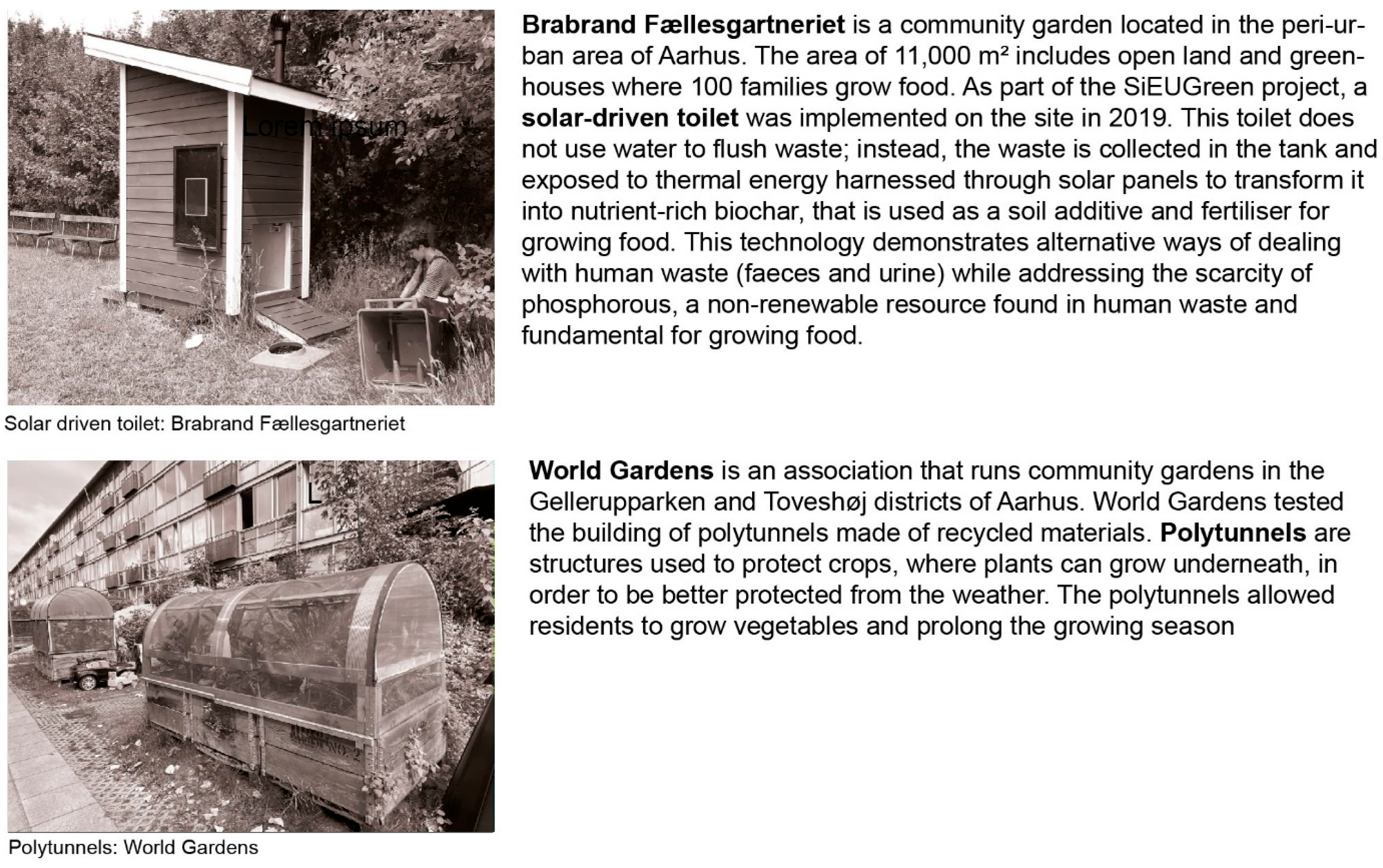 Sustainability 16 01258 g005 Sustainability 16 01258 g005