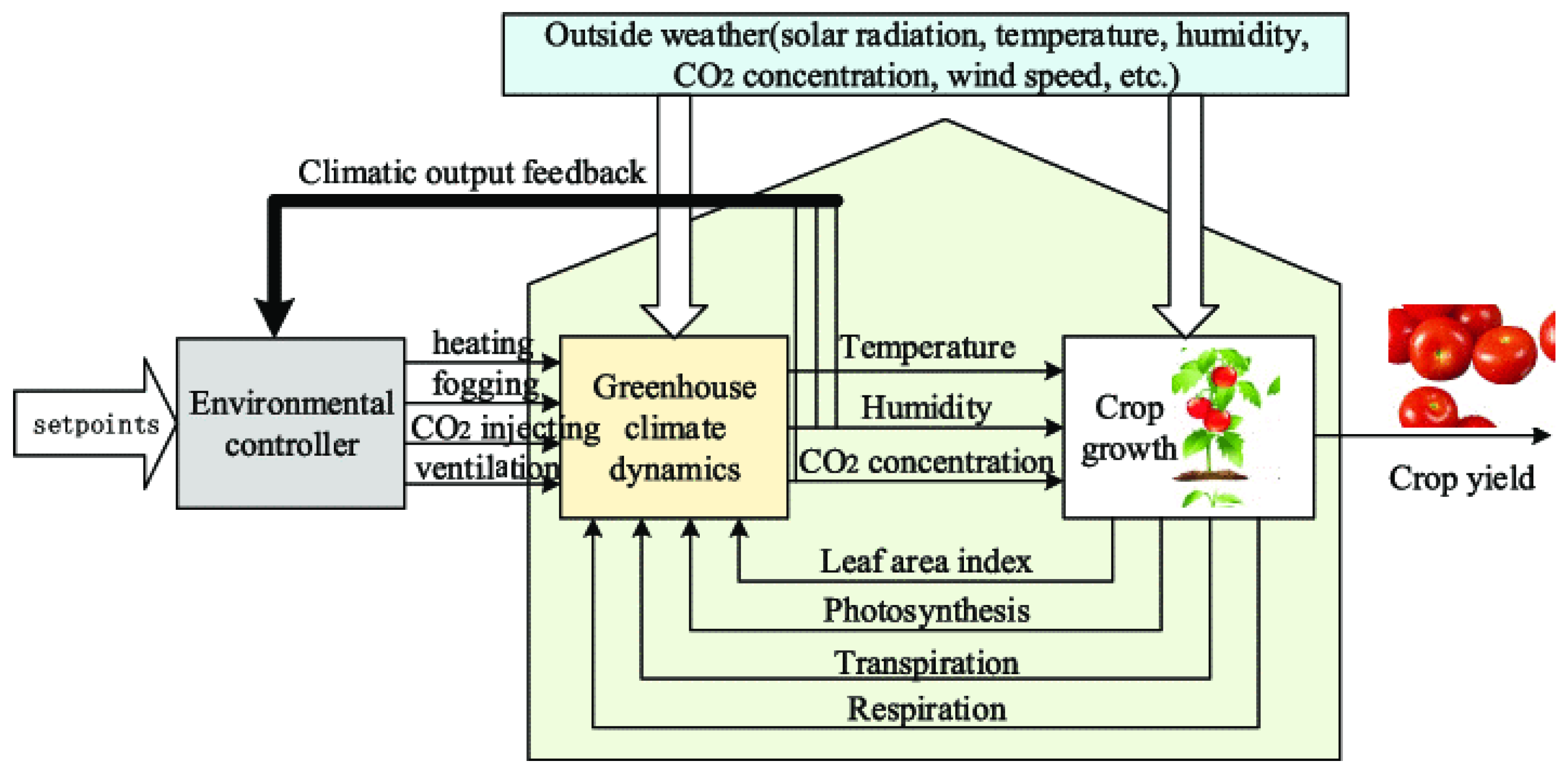Assessing the Physical and Environmental Aspects of Greenhouse ...