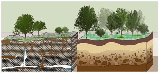 Sustainability 16 01281 g001