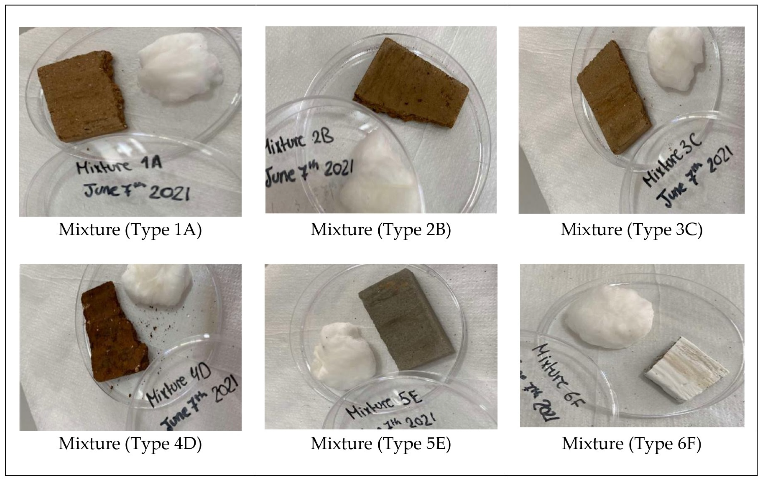 Sustainability 16 01294 g002 Sustainability 16 01294 g002