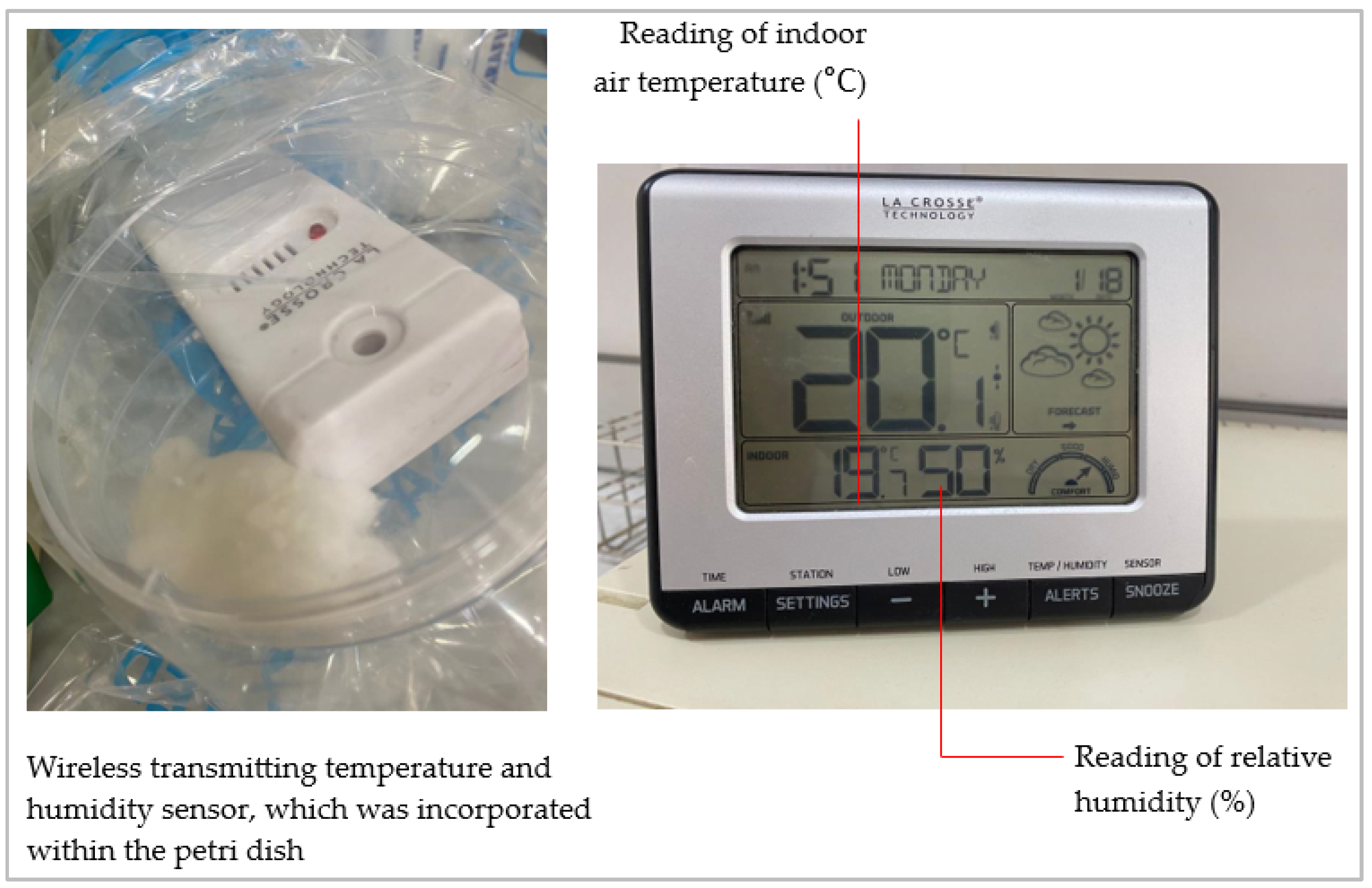 Sustainability 16 01294 g004 Sustainability 16 01294 g004