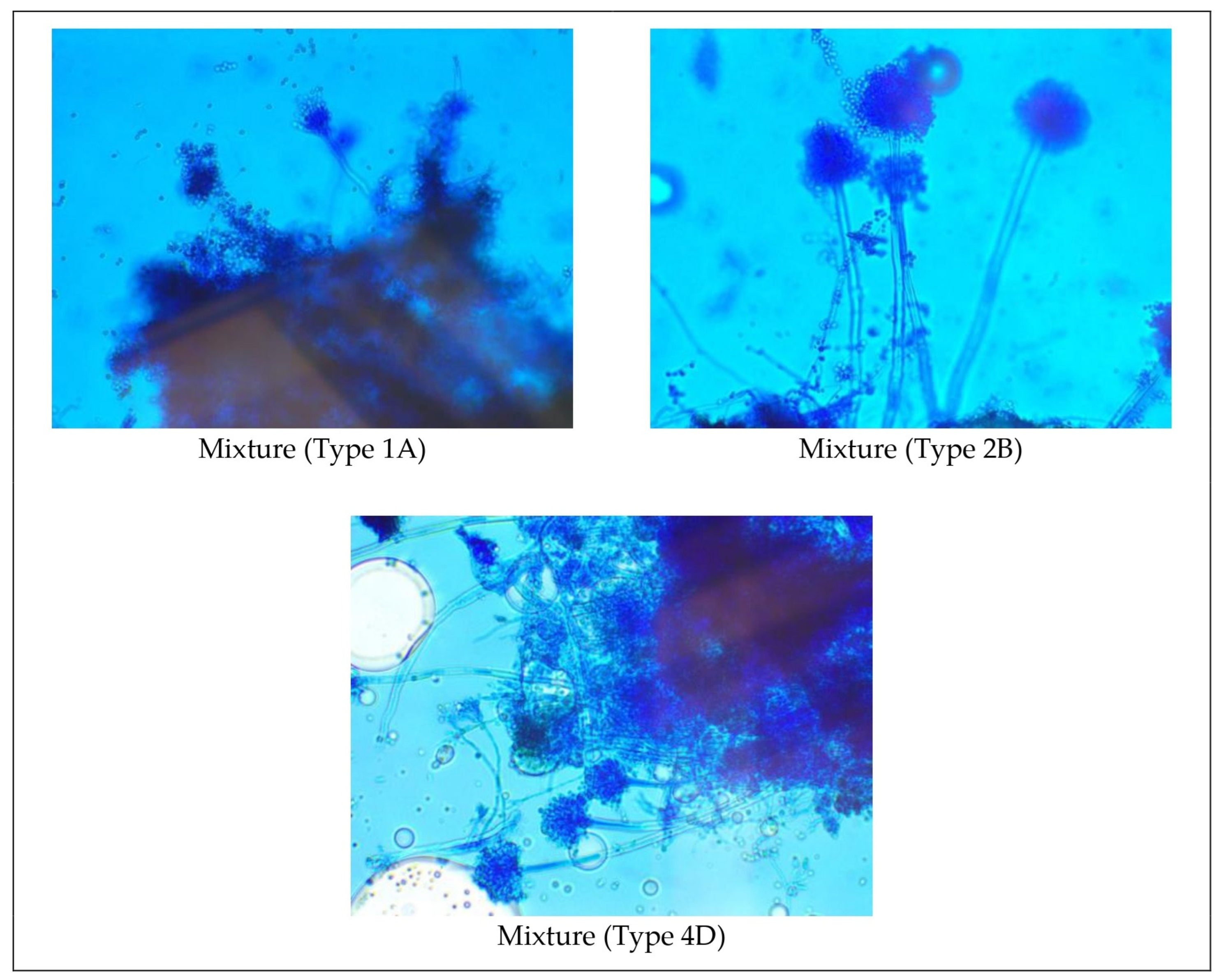 Sustainability 16 01294 g010 Sustainability 16 01294 g010