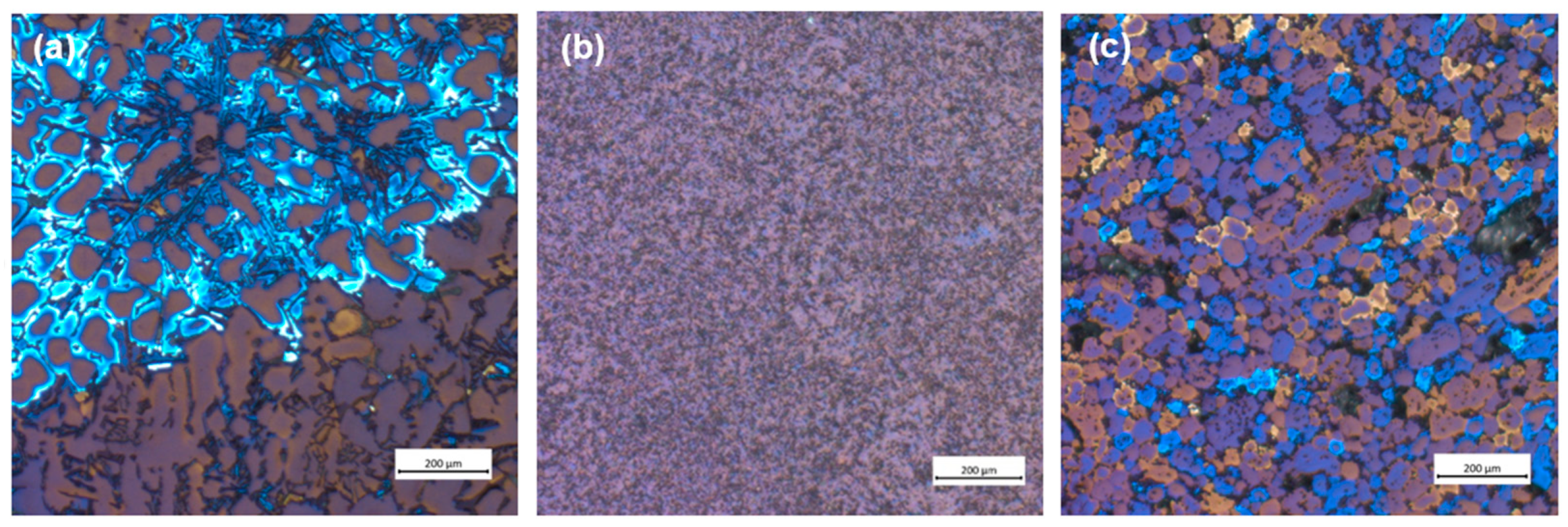 Sustainability 16 01358 g002