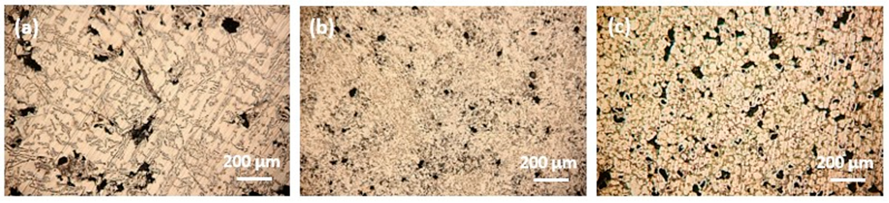 Sustainability 16 01358 g008