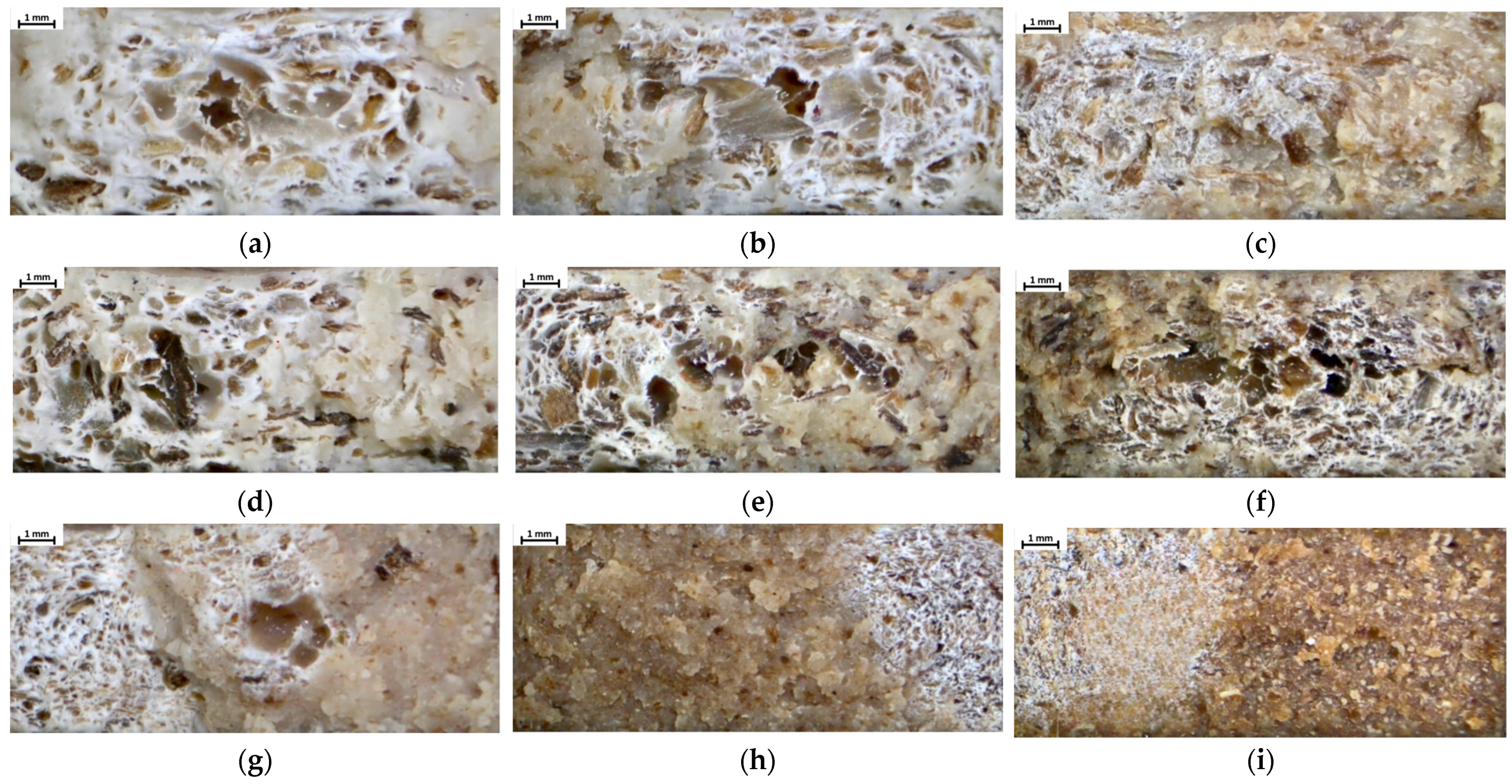 Sustainability 16 01370 g009