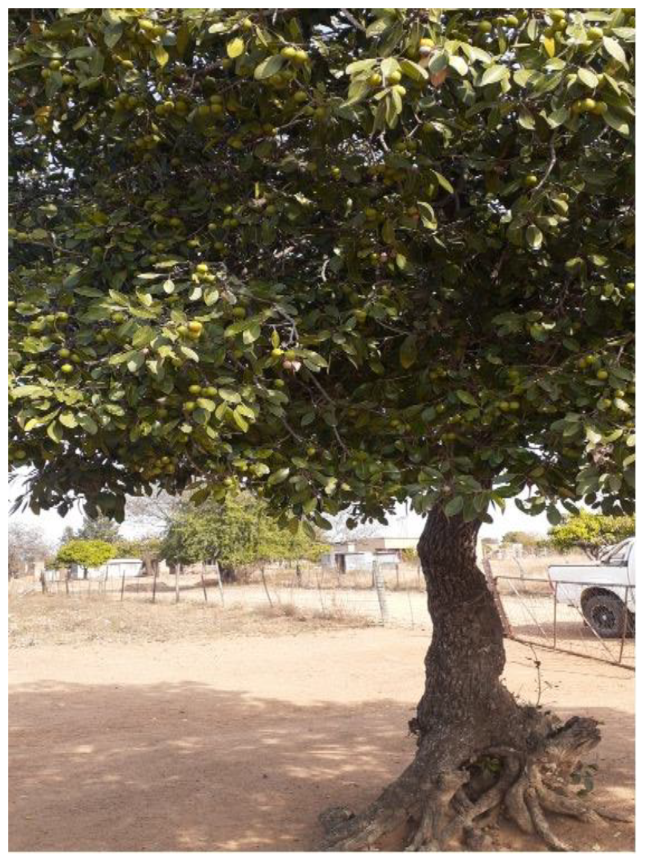 Sustainability 16 01410 g002