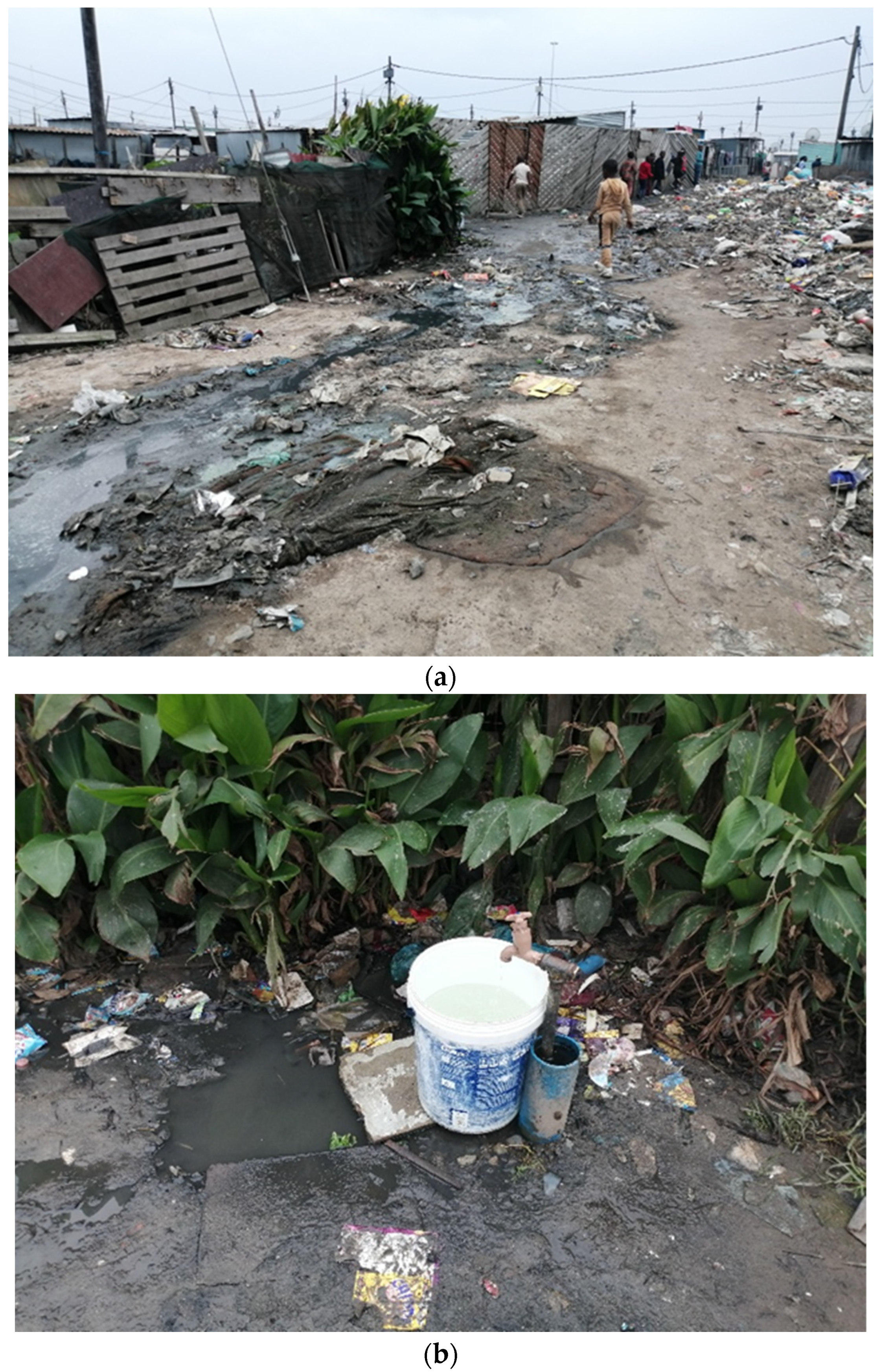 Sustainability 16 01429 g010