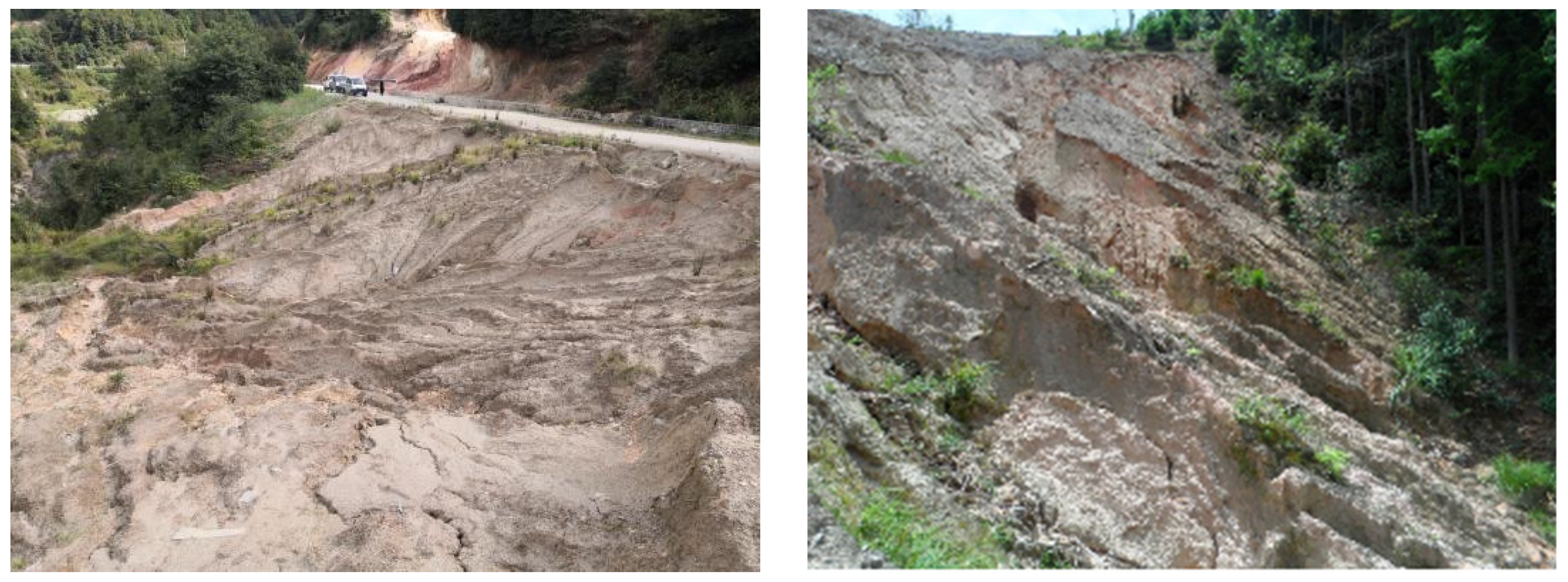 Sustainability 16 01454 g004