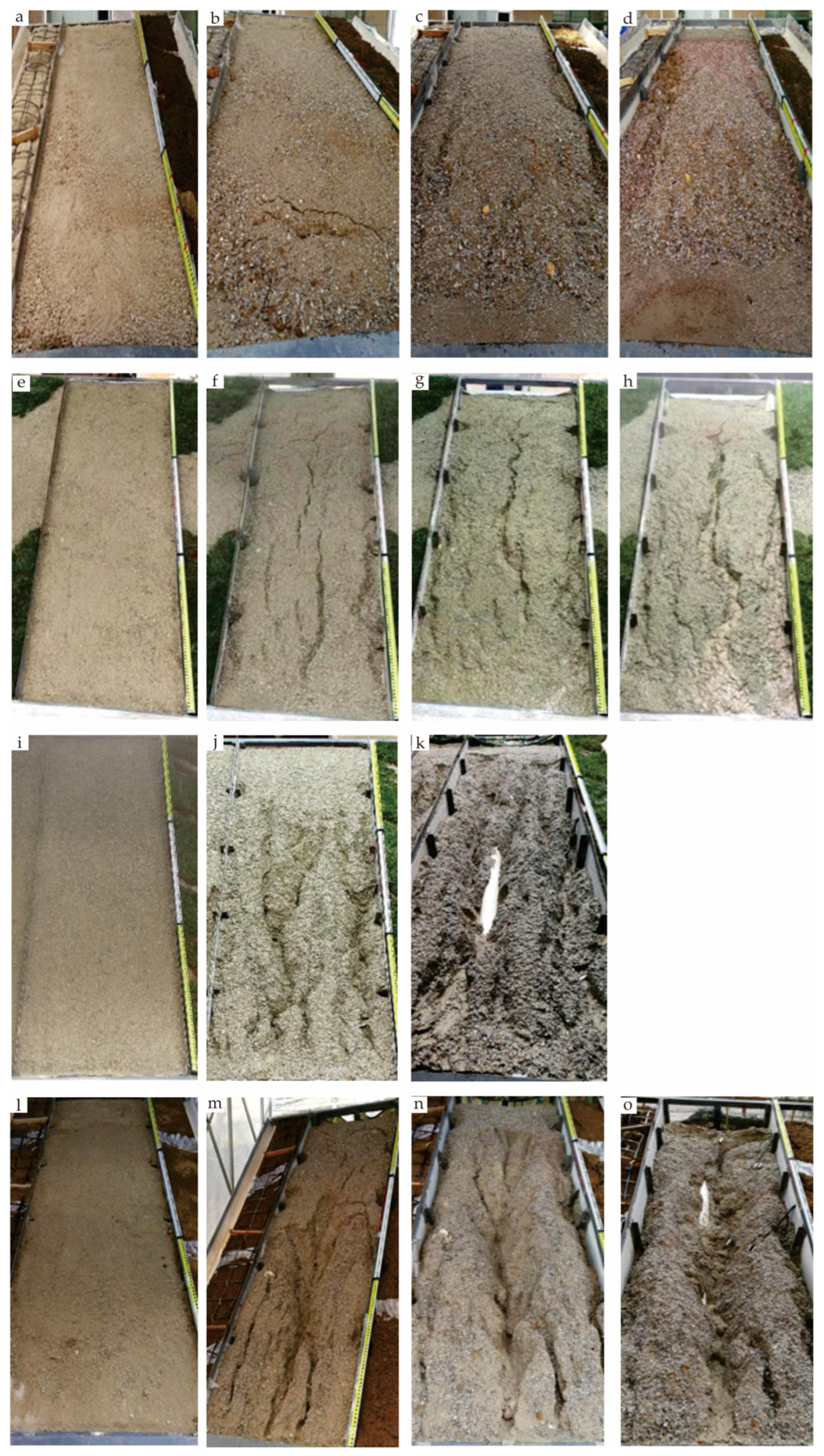 Sustainability 16 01454 g012