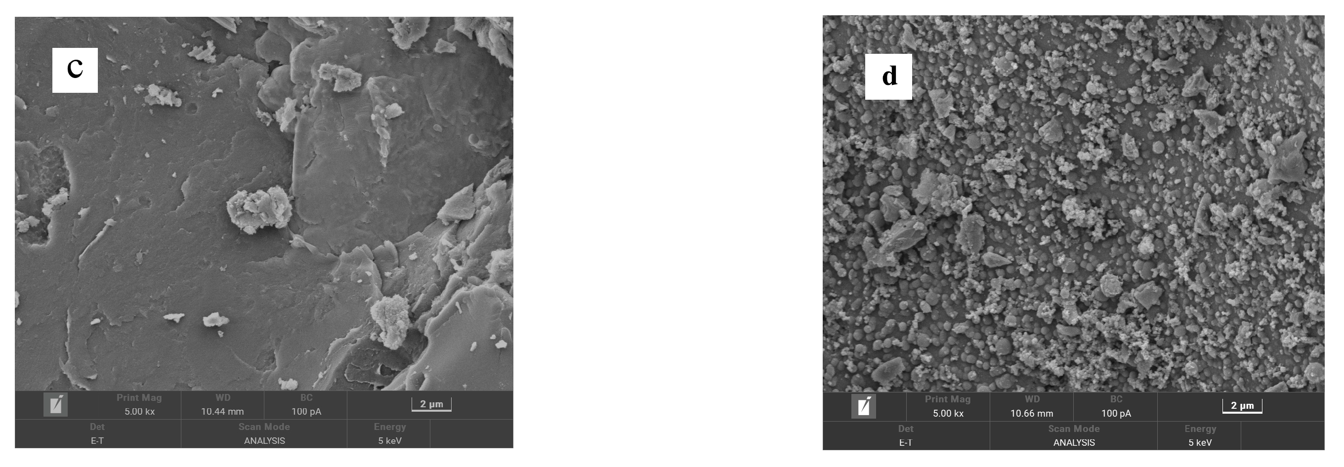 Sustainability 16 01482 g004b