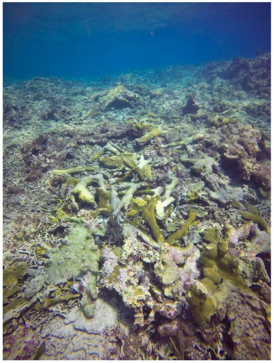 Sustainability 16 01506 g0a1