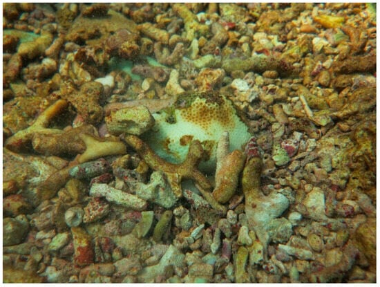 Sustainability 16 01506 g0a10