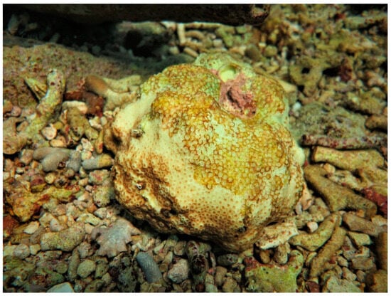 Sustainability 16 01506 g0a11