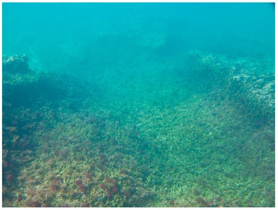 Sustainability 16 01506 g0a16