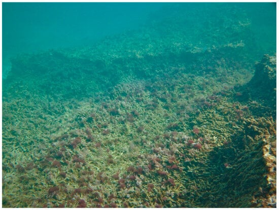 Sustainability 16 01506 g0a17