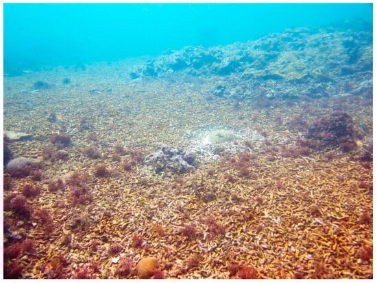 Sustainability 16 01506 g0a18