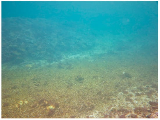 Sustainability 16 01506 g0a19