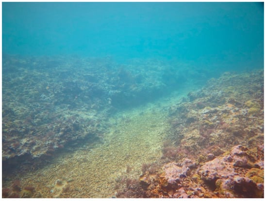 Sustainability 16 01506 g0a20