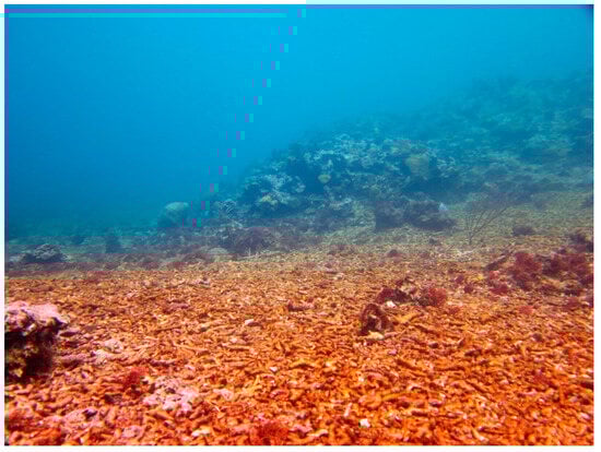 Sustainability 16 01506 g0a21