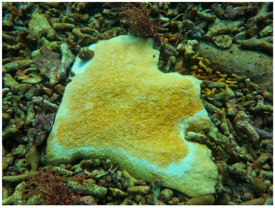 Sustainability 16 01506 g0a24