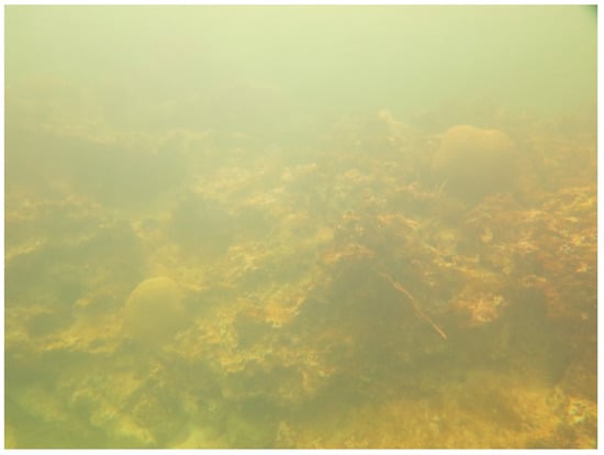 Sustainability 16 01506 g0a25