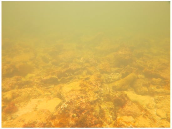 Sustainability 16 01506 g0a26