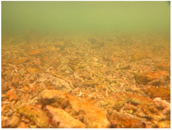 Sustainability 16 01506 g0a27