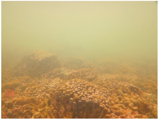 Sustainability 16 01506 g0a29