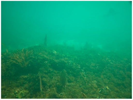 Sustainability 16 01506 g0a30