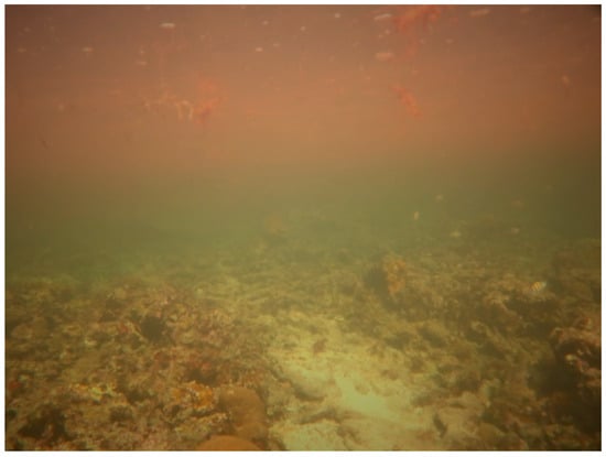 Sustainability 16 01506 g0a31